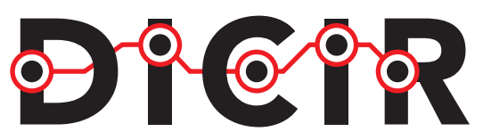 Logo DSI
